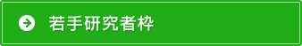 若手研究者枠